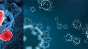 ozon-bacterien-schimmels-virussen
